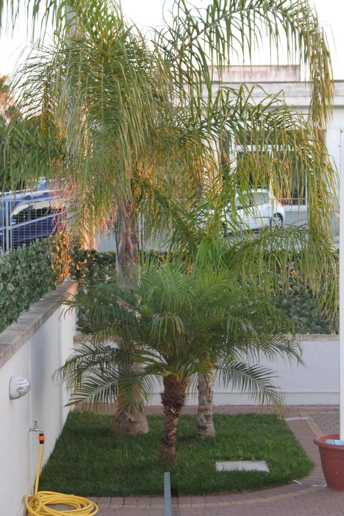 B&B Kalinifta Residence Carpignano Salentino Exterior foto
